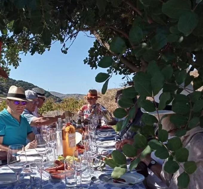 Wine Tastings