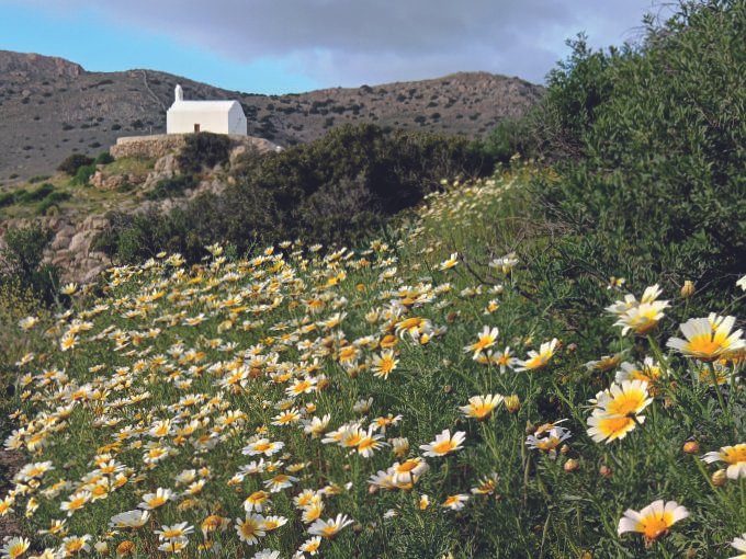 Discover Villages